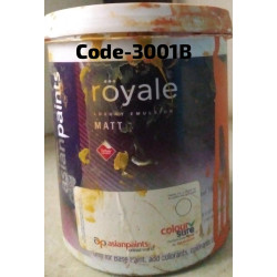 3001B-Royal Matt 9891-H30-I00